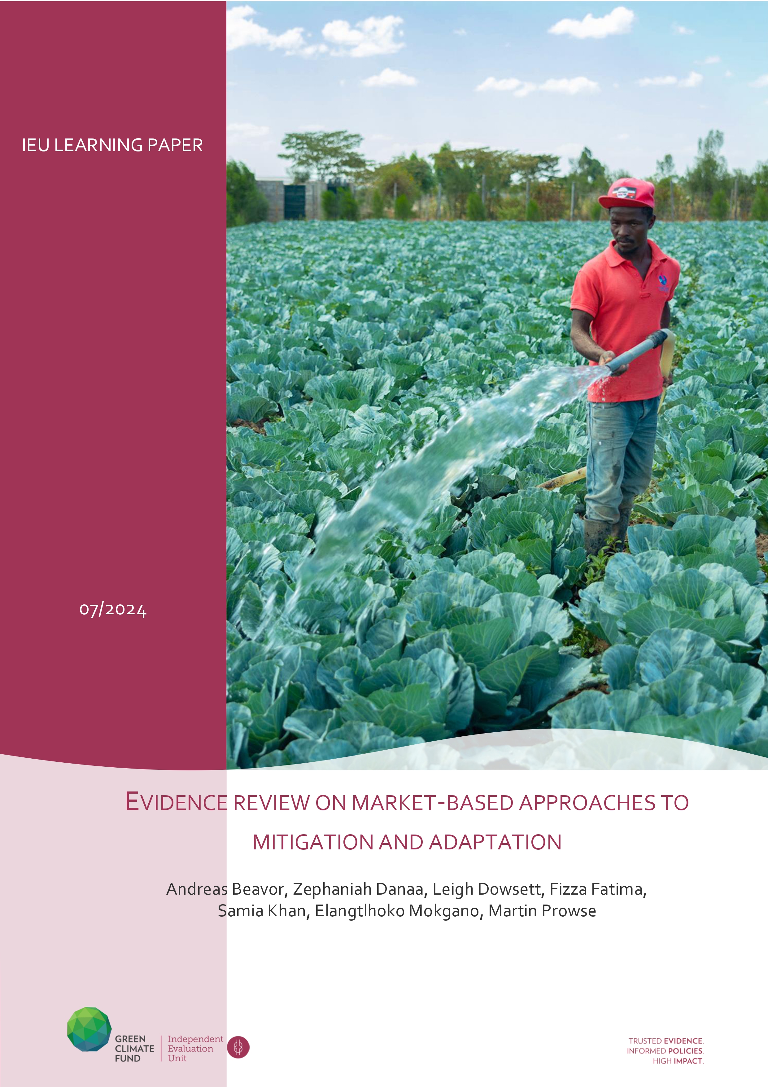 Evidence Review on Market-Based Approaches to Mitigation and Adaptation